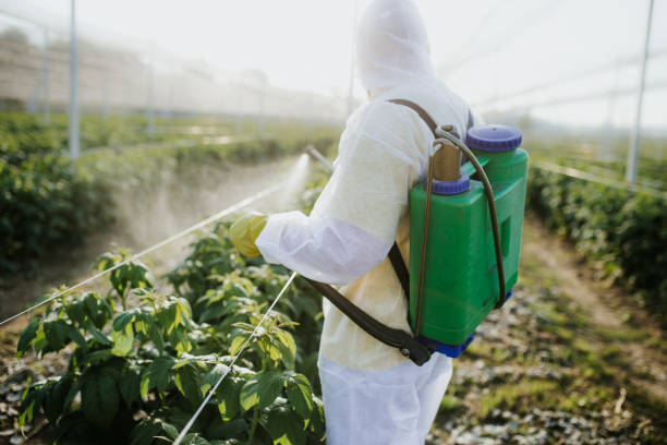 Best Best Pest Control Companies  in Princeton Junction, NJ